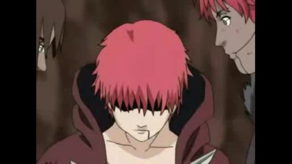 Sakura Someday