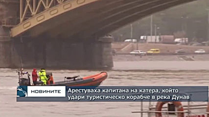 Арестуваха капитана на катера, който удари туристическо корабче в река Дунав