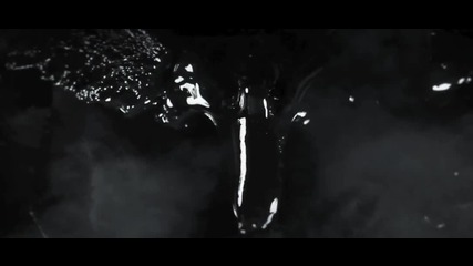Secrets Of The Moon - Nyx 2012