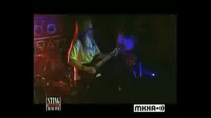 Fading Circles - My Real Face
