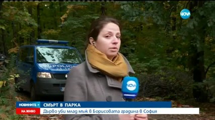 Дърво уби мъж в Борисовата градина