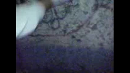 Draskam ;p.3gp