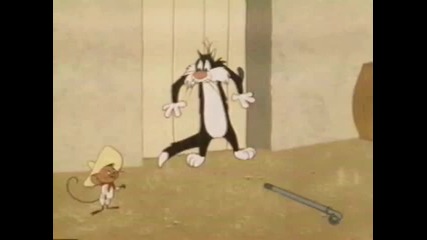 Warner Bros - 013065 Cats And Bruises Mm 