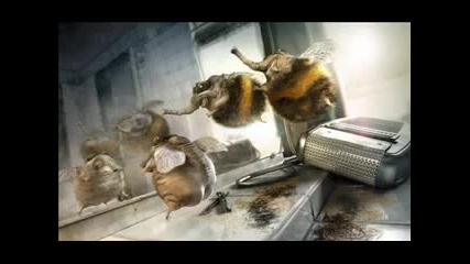 Royal Hunt - End of the Line | 2010 |