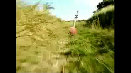 Minuscule - The Fight For The Lollipop