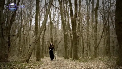 Gloria - Bezsanie Insomnia Глория - Безсъние Insomnia