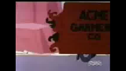Road Runner & Wile E Coyote 