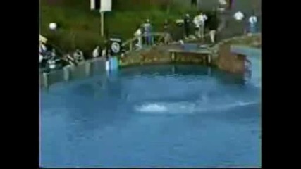 Най - високия скок във вода - 172ft (световен рекорд)