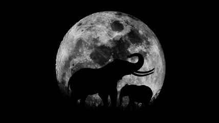Maxi Iborquiza - Moonride (original Mix)