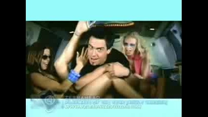Zebrahead - Playmate Of The Year