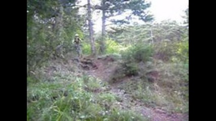 Jump In The Forest
