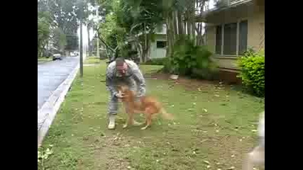Two Dogs Welcome Home Soldier on Rr