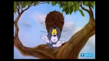 Том и Джери. - на голф игрището