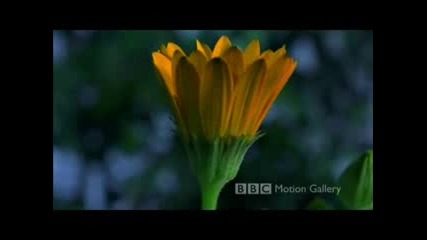 smooth jazz - bobby hutcherson - dance of the sun 