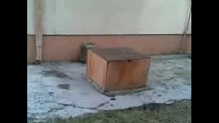 Parkour Copcone And Speed 