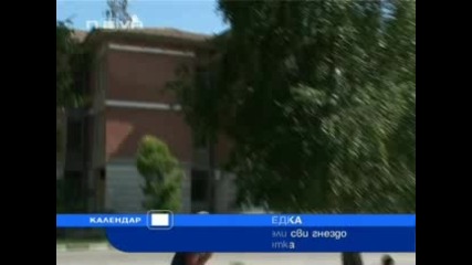 Щъркели свиха гнездо върху мобилна клетка