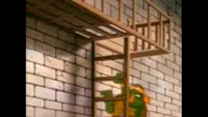 Tmnt - 212 - The Cat Woman of Channel Six.3gp