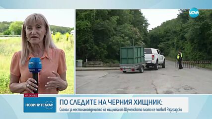 Черният леопард е забелязан в Разградско