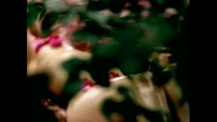 P!nk - You Make Me Sick 
