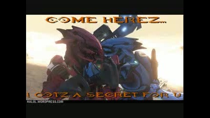 funny halo 3 pictures