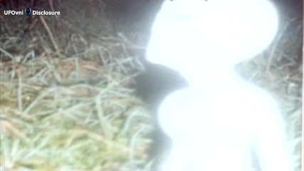 Нло: Пришълци отвличат и оплождат жени
