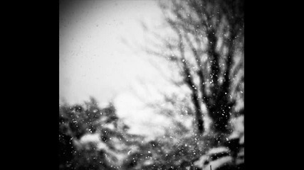 Seven Saturdays - The Snowflakes That Hit Us Became Our Stars 