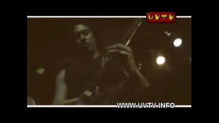 Trivium - Rain Live