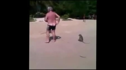 Маймуни съблякоха дядо на плажа