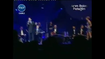Ibrahim Tatlises ve Aysegul