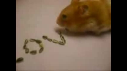 Валшебната думичка I love you 