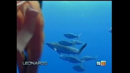 Незаконен лов на риба Тон - Акции на Greenpeace 