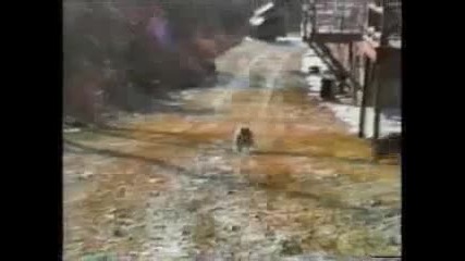 смях...котките са невероятни ;д