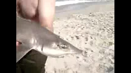 мъж хванал акула с ръце