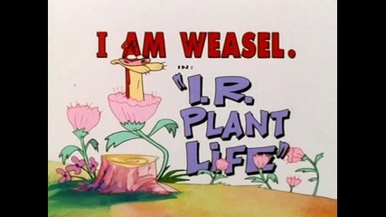 I Am Weasel - S1e09 - I.r. Plant Life
