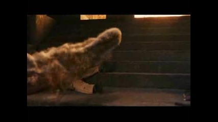 Keep Holding On Harry & Ginny