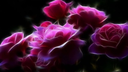 Andr Rieu - Love in Venice - Amira Willighagen
