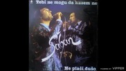 Saban Saulic - Tebi ne mogu da kazem ne - (Audio 1984)