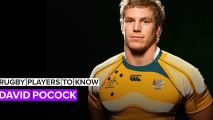 Rugby Players to Know: David Pocock is a force to be reckoned with