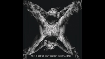 Chris Brown ft. Aaliyah - Don't Think They Know (audio)