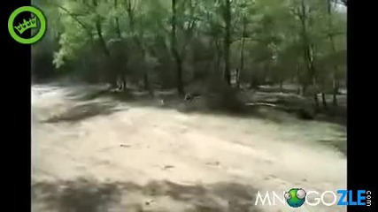 Хора срещу мотори