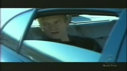 Sting - Desert Rose