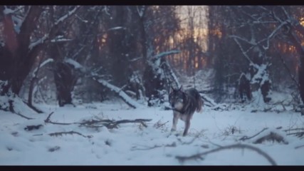 Ceca - Nevinost