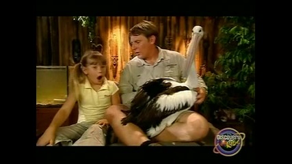 Бинди: Момичето от Джунглата - Епизод 09 – Като орел