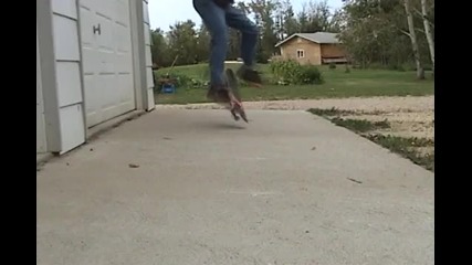 Perfect Disco Flip (360p)