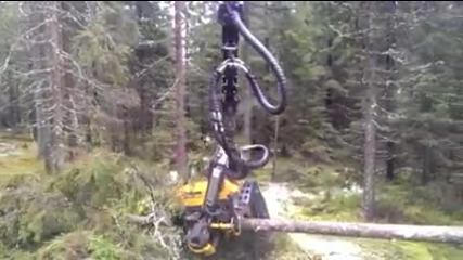 Роботизирано оборудване За Рязане На Дървета