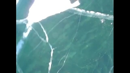 Шаран под леда Зашеметяващи кадри на риболовния зимен лед 
