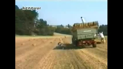 100% смях 