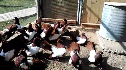Vid_20150302_130256
