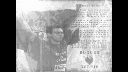 Zoran Vujovic (grobari) 1988 - 2008 R I P