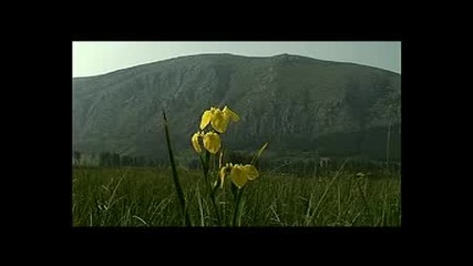 Чепън Планина - Натура 2000